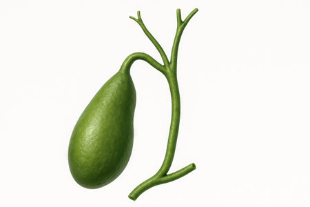 Green gallbladder simple illustration on white background for medical and educational purposes....