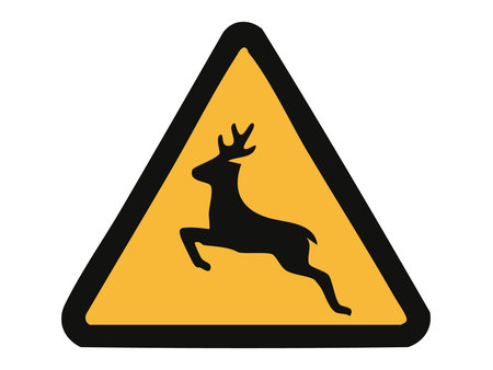 Wild animals warning road sign with black deer silhouette inside yellow triangle isolated on white background, graphic illustration. Concept of wildlife crossing, animal danger, traffic alert.のイラスト素材