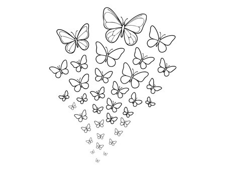 Flying butterflies in pyramid composition with black outline style isolated on white background, graphic illustration. Concept of freedom, elegance, nature beauty, romantic motion, design element.のイラスト素材