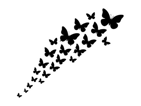 Black silhouette of multiple butterflies arranged in a curved formation, isolated on white background. concept of nature, insects, transformation, flight, decor, art.のイラスト素材