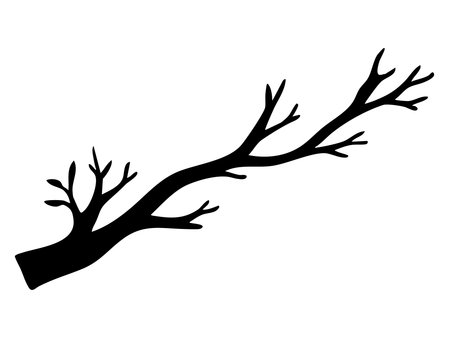 Black silhouette of tree branch with multiple offshoots isolated on white background. concept of nature element, botanical design, minimalist art, natural decor, organic shape.のイラスト素材