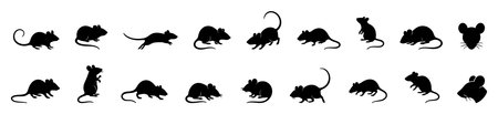 Collection of black mouse silhouettes of various poses, isolated on white background. concept of icons, logos, rodent, animal, design element, wildlife, set illustration.のイラスト素材