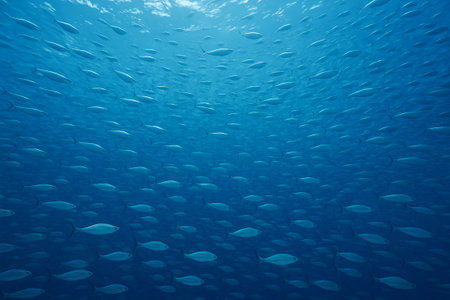 Blue sea fish swimming in tranquil ocean waters. concept of marine life, underwater serenity, ocean...