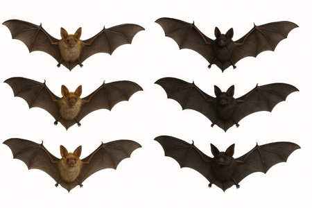 Six halloween bats illustration featuring simple composition on white background. concept of...