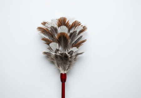 Feather duster on white background. Cleaning and housework concept. Tool for home hygiene, dusting.の写真素材