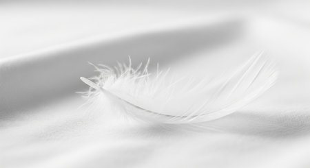 White feather resting softly on a white fabric surface. Minimalism concept for purity, lightness, and delicate design for background.の写真素材