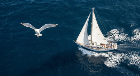White seagull flying over a sailing yacht on deep blue ocean water. Summer vacation and travel at...