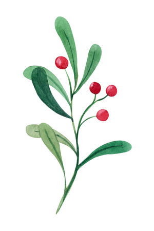 Watercolor twig with green leaves and red berries. Hand drawn Christmas illustration, holiday twig for design, fabric print, packaging, decoration, background. New Year cards and congratulations.の写真素材