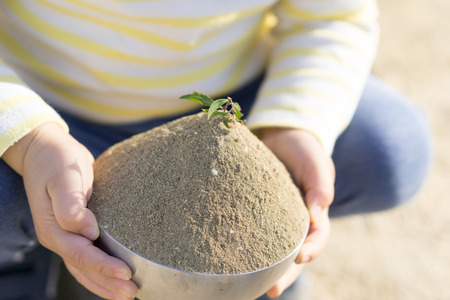 Ecology Environment Love birth Peace imageの写真素材