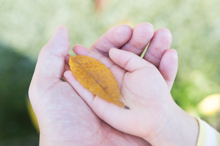 Ecology Environment Love birth Peace imageの写真素材