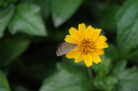 Dynamic and staticの写真素材