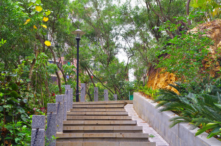 Stairsの写真素材