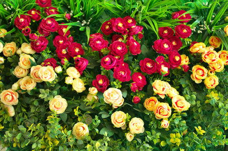 Colorful flowersの写真素材
