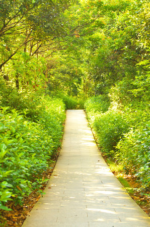Mountainの写真素材