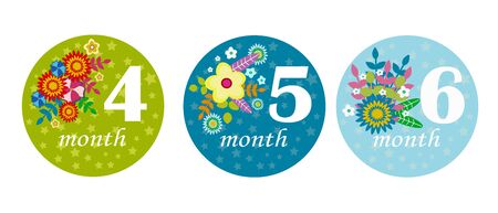 Vector set of milestone stickers with flowers and numbers. Baby first year. Monthly baby girl labels. Newborn month stickers collection. Isolated on white. 4-6 monthのイラスト素材