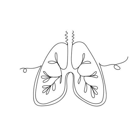 Lungs internal organ outline vector icon continuous line drawing isolated on white background. Lungs continuous line drawing icon for web, mobile and user interface design. medical healthcare conceptのイラスト素材