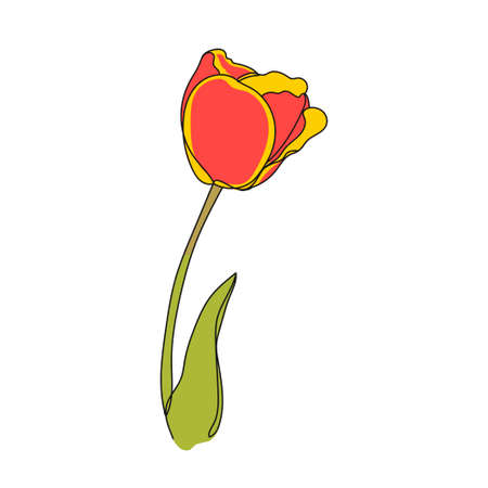 Flower. Tulip. Concept women's day.Use for print, surface design, fashion wear. For design of album, scrapbook, card and invitationのイラスト素材