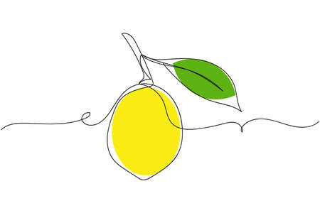 Continuous one line of lemon on a branch in silhouette on a white background. Linear stylized.Minimalist.のイラスト素材