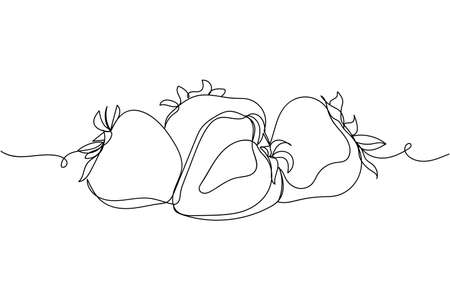 Continuous one line of ripe strawberries in silhouette on a white background. Linear stylized.Minimalist.のイラスト素材
