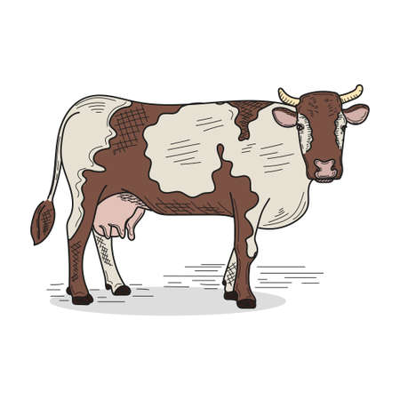 Drawing, engraving, ink, line art, vector illustration cow milk farm concept village sketch in silhouette on a white background.のイラスト素材