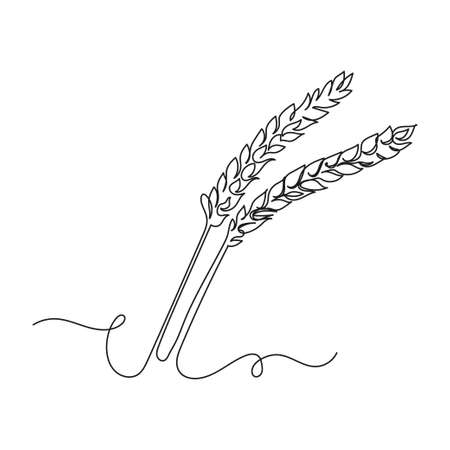 Continuous one line drawing of ripe ears of wheat in silhouette on a white background. Linear stylized.のイラスト素材