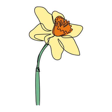 Continuous one simple single abstract line drawing of daffodil flower icon in silhouette on a white background. Linear stylized.のイラスト素材