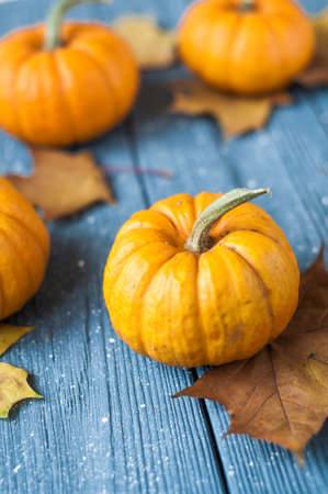 Pumpkins and squashes and autumn leaves, space for textの写真素材