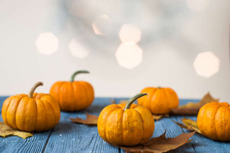 Pumpkins and squashes and autumn leaves, space for textの写真素材