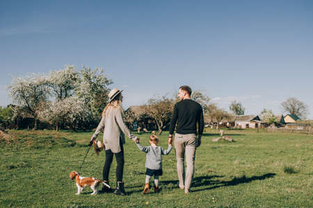 back view of family with pet walking on green meadow in park. Happy young family walking in the park. Healthy lifestyle conceptの写真素材