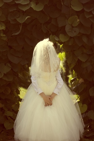 groom embracing his bride