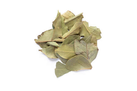 Aromatic bay laurel leaves isolated on white background.