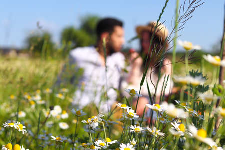 Happy couple in a camomile flowers field.の写真素材