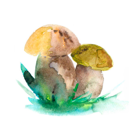 Colored mushroomsの写真素材