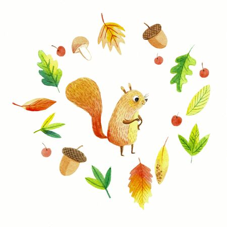 Autumn set.  hand painted illustration. Squirrel.の写真素材