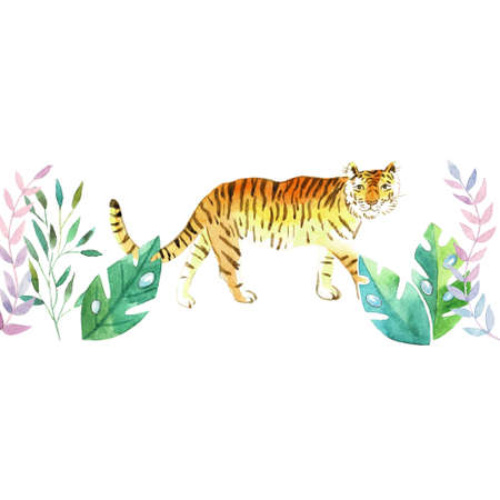 Tiger in the thickets, illustration on a white backgroundの写真素材