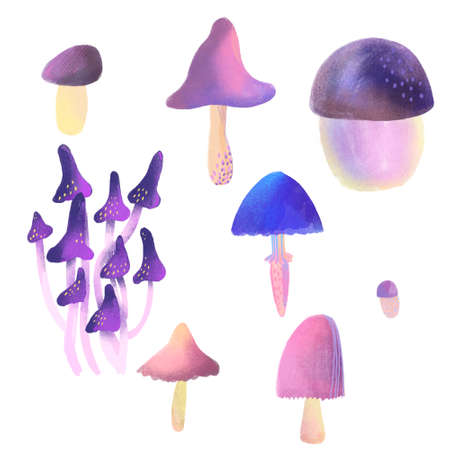Illustration of a set of different mushroomsの写真素材