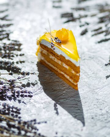 A piece of delicious cream cake. Tasty dessert. Over light wooden background.の写真素材