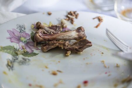 Chicken bones in the plate after eating, close up