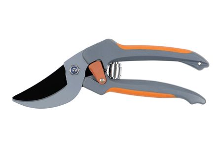 grass shear tool, isolated over white backgroundの写真素材