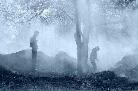 Forest fireの写真素材
