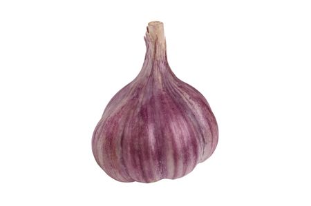 head of the garlic on white backgroundの写真素材