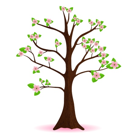 cherry blossom, flowering spring tree, vectorのイラスト素材