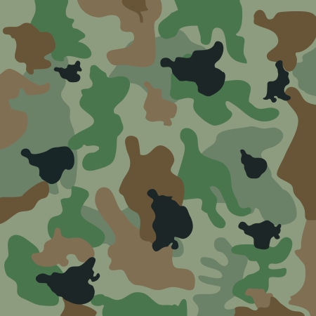 camouflageのイラスト素材