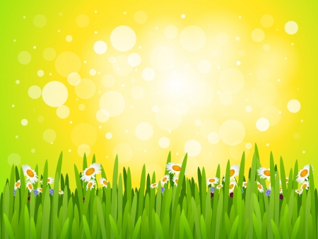 summer abstract backgroundのイラスト素材