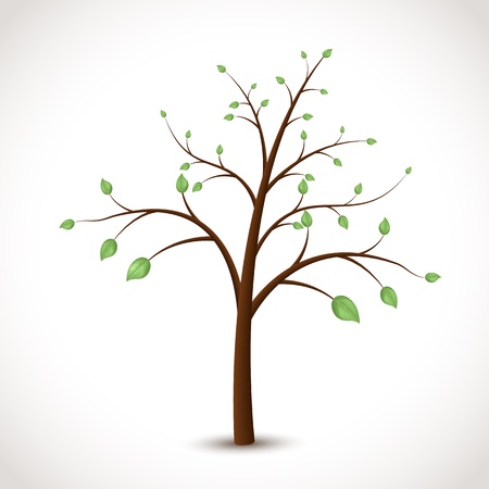 tree with green leavesのイラスト素材