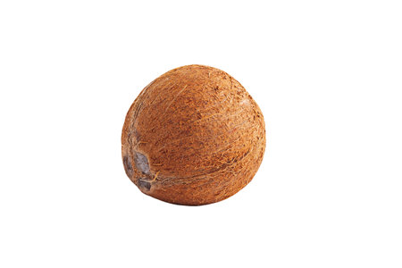 Tropical fruit coconut isolated on a whiteの写真素材