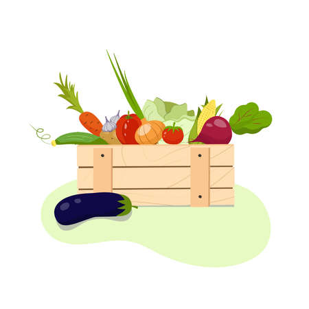 Organic vegetables from the farm collected in the wooden box.のイラスト素材