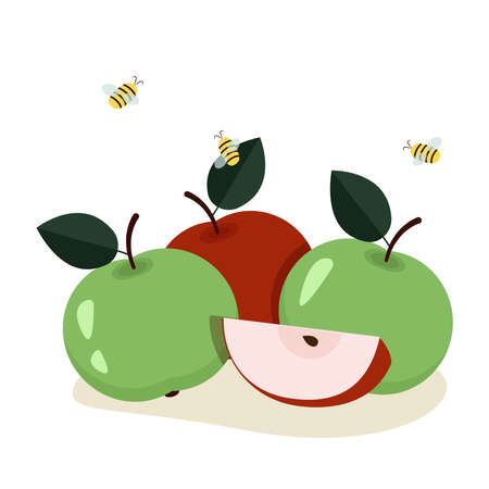 Red and green apple Vector graphicsのイラスト素材