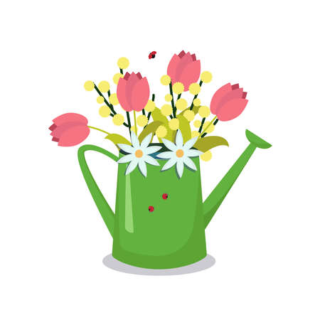 Watering can with with flowers-tulips, Mimosa. Isolated on a white background. The stock graphics.のイラスト素材