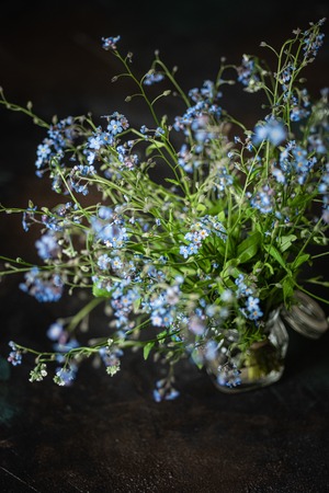 Forget-me-not's bouquet, darkの写真素材
